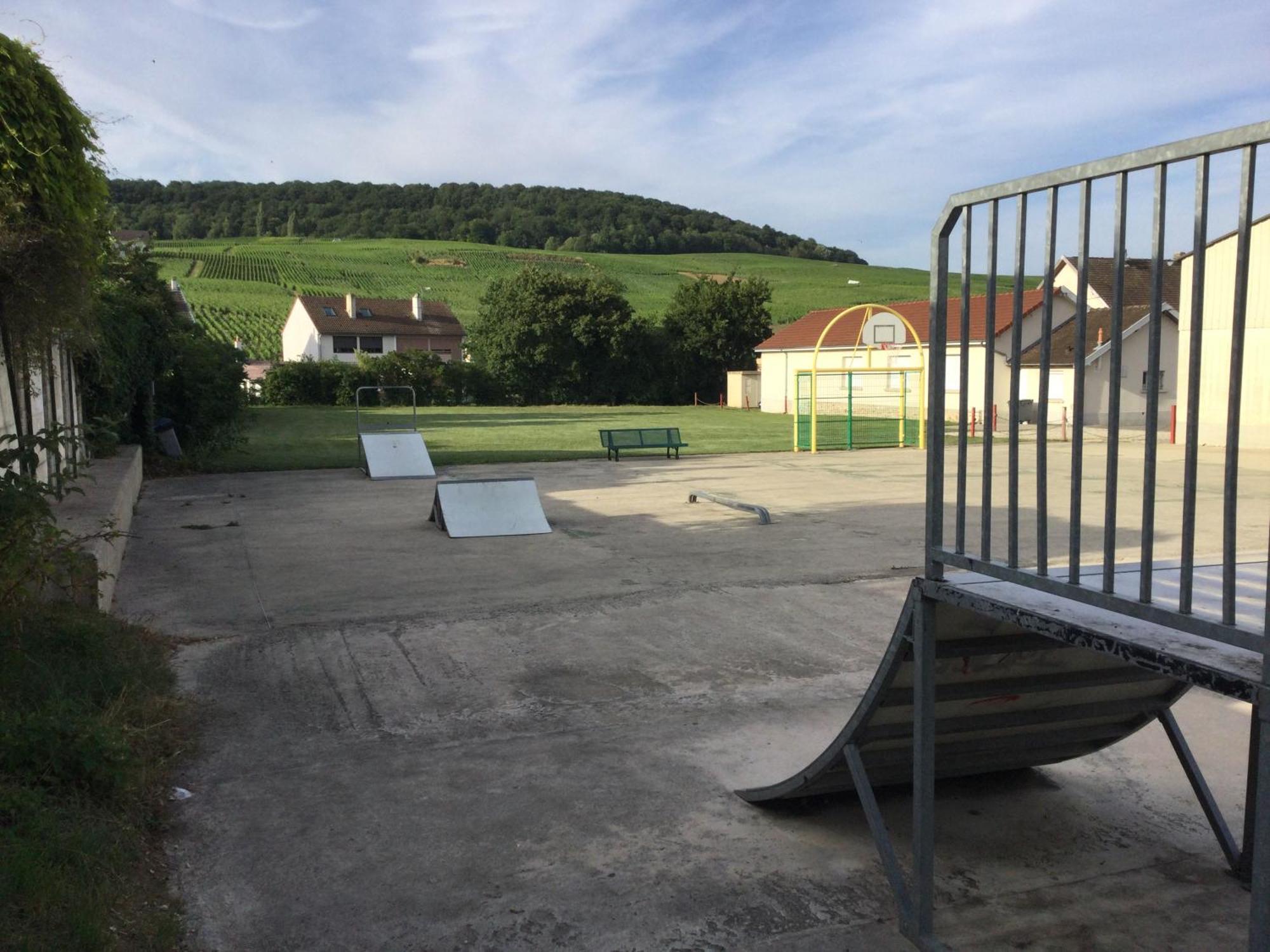 Gite De La Liberte Vinay  Exteriör bild